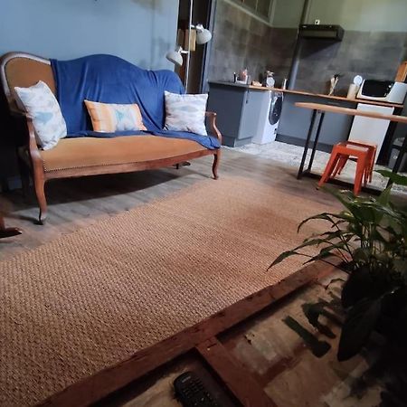 Studio 1 Chambre Ideal Salaries Nomades Montauban Ngoại thất bức ảnh