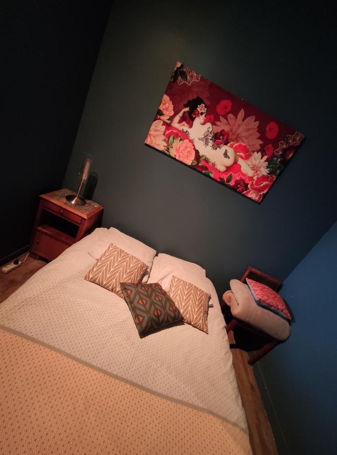 Studio 1 Chambre Ideal Salaries Nomades Montauban Ngoại thất bức ảnh