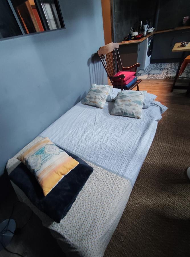 Studio 1 Chambre Ideal Salaries Nomades Montauban Ngoại thất bức ảnh